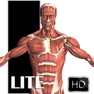Get Visual Anatomy Lite for iOS, iPhone, iPad Aso Report