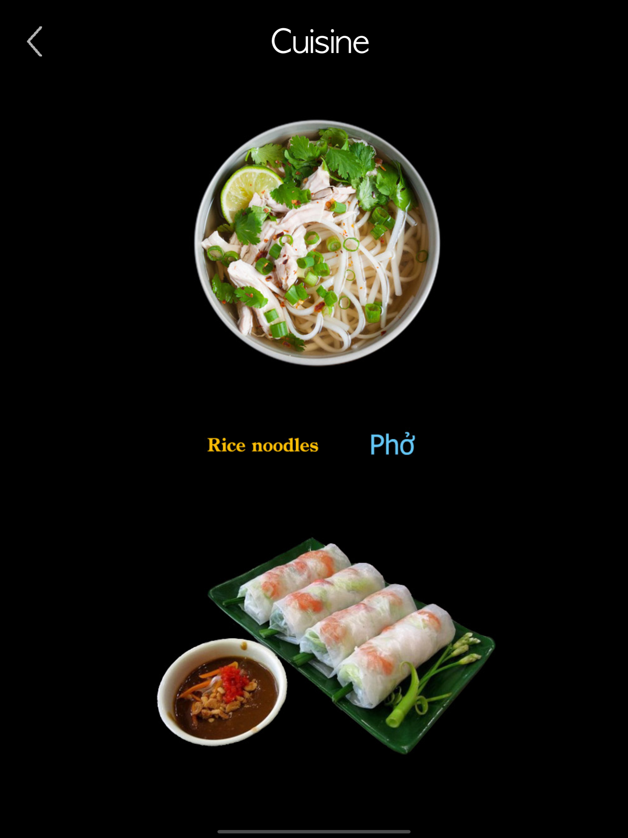 Vietnamese Alphabet & Words screenshot 21