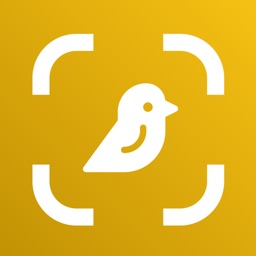 Bird Identifier AI: Bird ID