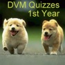 Get DVM 1st Yr - All Quizzes for iOS, iPhone, iPad Aso Report