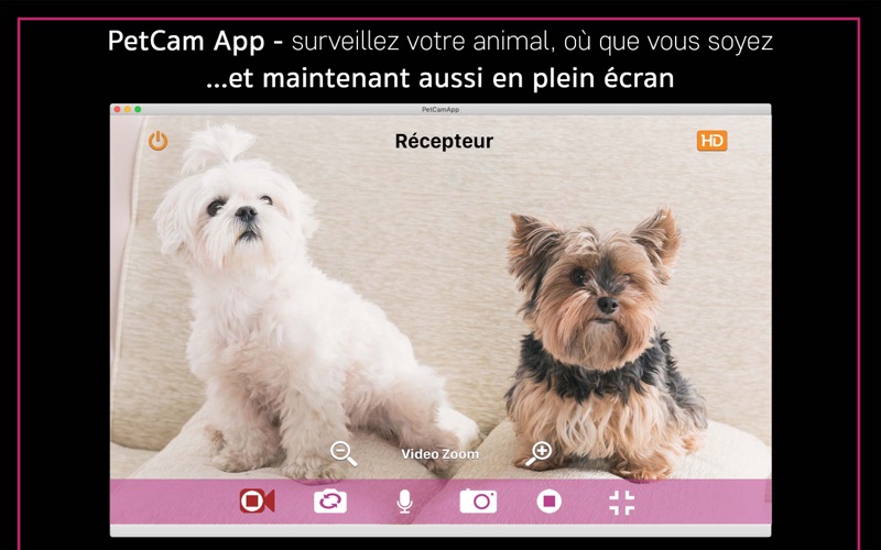 Screenshot #3 pour PetCam App - Dog Camera App
