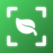 What Plant Is This° Plantastic