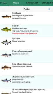 Рыбалка и рыбы айфон картинки 2