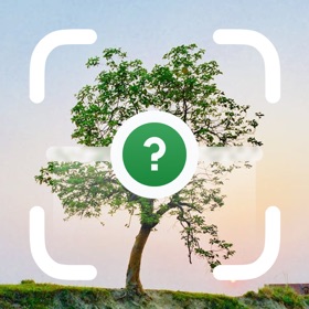 Wood & Tree Identifier AI