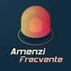 Amenzi Frecvente - Narcis Constantinescu