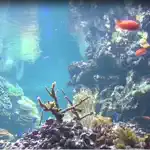 Reef Aquarium 2D/3D App Support