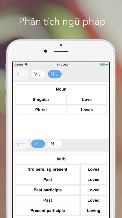 bigdict - từ điển mở & hỏi đáp iPhone screenshot
