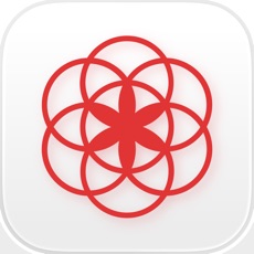 Clue Period & Cycle Tracker