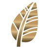 Sistema FAEP icon