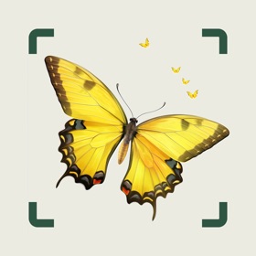 螢幕擷取畫面 (4) AI Insect Identifier: BugBug