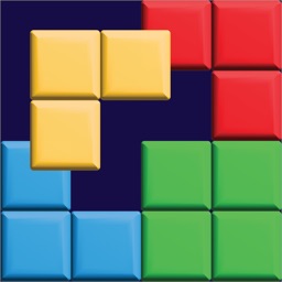 1010 Colour Blocks
