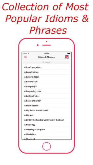 Idioms & Phrases (English) screenshot 1
