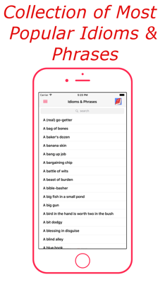 Idioms & Phrases (English) screenshot 1