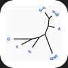 Phylogenetic Tree Draw - Sigmar Stefansson