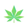 Punto Verde icon