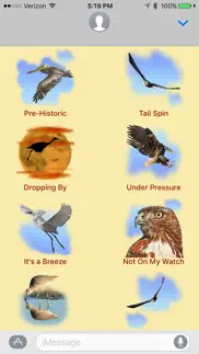 birds for words for imessage problems & solutions and troubleshooting guide - 4
