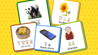 Screenshot #3 pour Flashcards chinois pour bébé