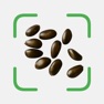 Get Seed Id: Seed Identifier for iOS, iPhone, iPad Aso Report
