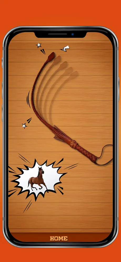 Pocket Whip Noise