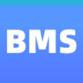 YN BMS