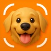 Dog Breed Identifier - Casper icon