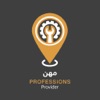 Professions Provider icon