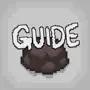 Guide for Binding of Isaac