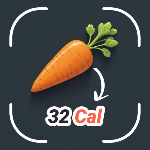 Calorie Tracking Mr Calo AI
