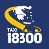 TAXI 18300 icon