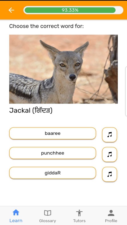 Fluently - Learn Punjabi screenshot-5