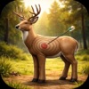 Crossbow Shot Tracker icon