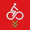 Bilbao Bici App Feedback