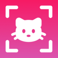 Cat Breed Identifier Catpedia