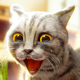 Cat Simulator Dress Up Games