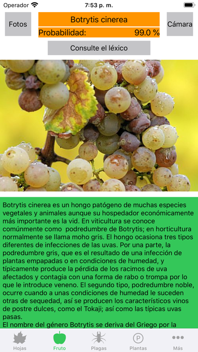 Enfermedades de las plantas screenshot 2