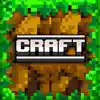 Crafting and Building 3D App Support