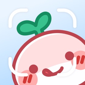 AI Calorie Counter: PixCalo