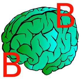 屏幕截图 (5) Better Brain Lite