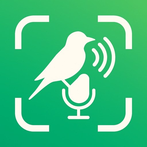 Animal Sound Identifier: Guide