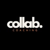 Collab. Coaching icon