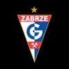 Bilety Górnik Zabrze icon