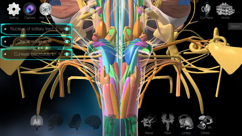 3D解剖学アトラス：iRis screenshot 3 of 5