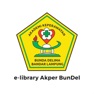 Get e-library Akper BunDel for iOS, iPhone, iPad Aso Report