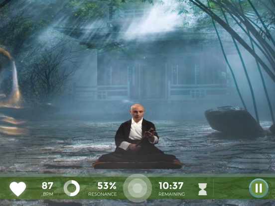 Zen Journey by Wild Divine iPad screenshot