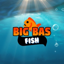 Big Bas Fish