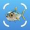 Discover the underwater world with FishCam