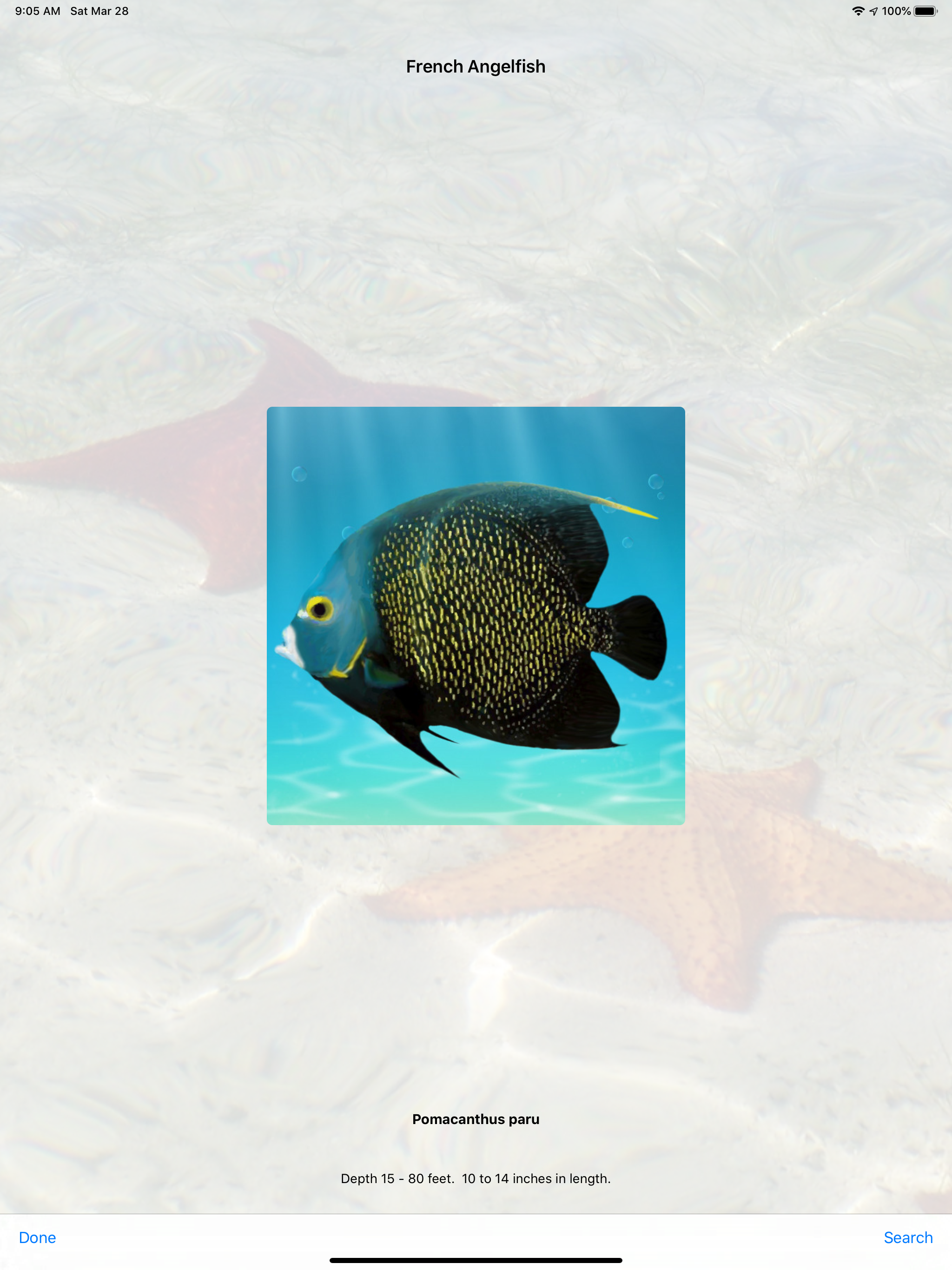 Cayman Snorkel screenshot 9