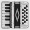 Accordion Piano Cassoto icon