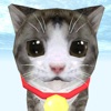 Cat Simulator - adopt kittens icon