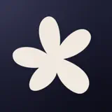 Lylac: My Digital Studio - Icona app